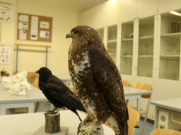 Tag der Offenen Tür 26.01.2024