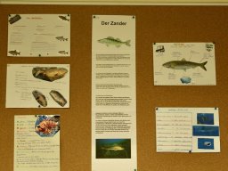 Tag der Offenen Tür 26.01.2024