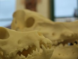 Tag der Offenen Tür 26.01.2024