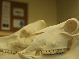 Tag der Offenen Tür 26.01.2024